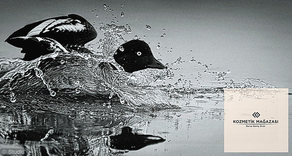 Saç Bakım Çözümleri